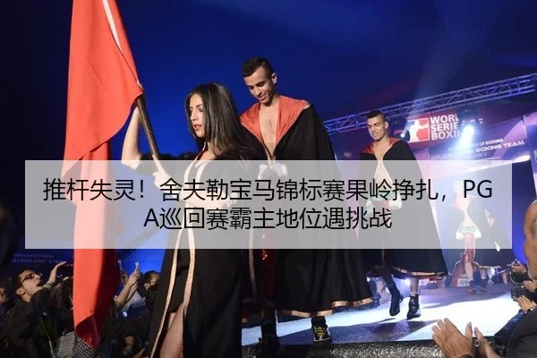 tui-gan-shi-ling-she-fu-lei-bao-ma-jin-biao-sai-guo-ling-zheng-zha-xun-hui-sai-ba-zhu-di-wei-yu-tiao-zhan-2-527.jpg